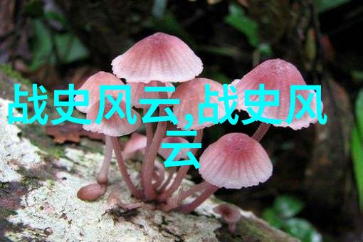 红颜泪痕一段催人泪下的爱恨交织