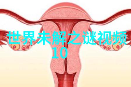 无尽长城守护者中国古代五行阵防御战略探秘