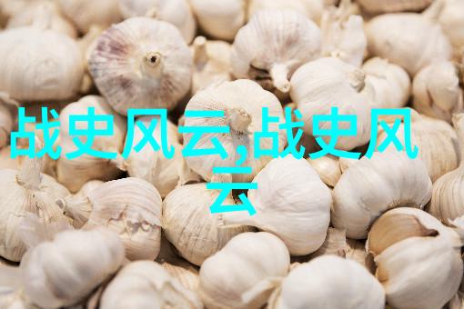 探寻智慧之源阿凡提的奇遇与哲理