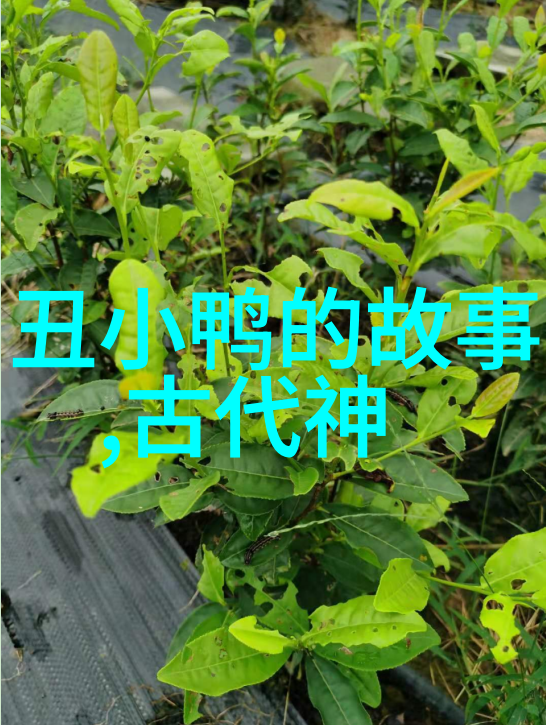 历史上有趣的名人故事-天才画家与他的神秘猫梵高的奇幻旅程