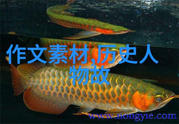 揭秘古代奇闻录探索那些未入史册的野史趣闻