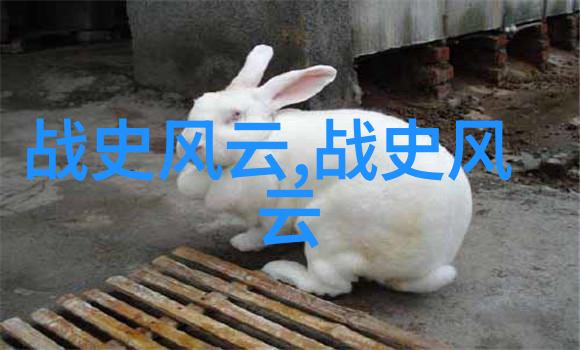 丰衣足食成语背后的历史故事