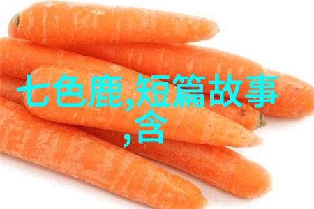 明朝的兴衰与文化明朝简介