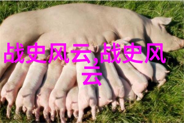 中国古代八大才子排名也遂的智慧与风采