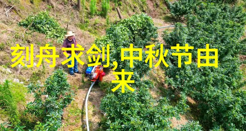 瑰夏1V2H火花与盛夏的对决