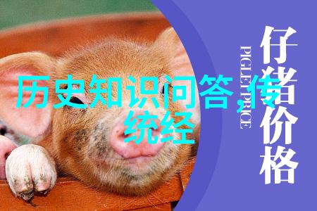 夫妻共枕一床探秘一夫多妻的伦理与现实
