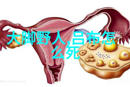 海月明珠揭秘珍贵贝类的奇迹与挑战