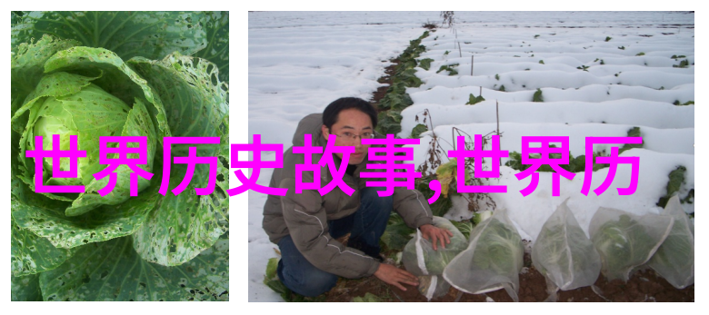水瓶座历史名人唐代宗十七载引领古风波澜