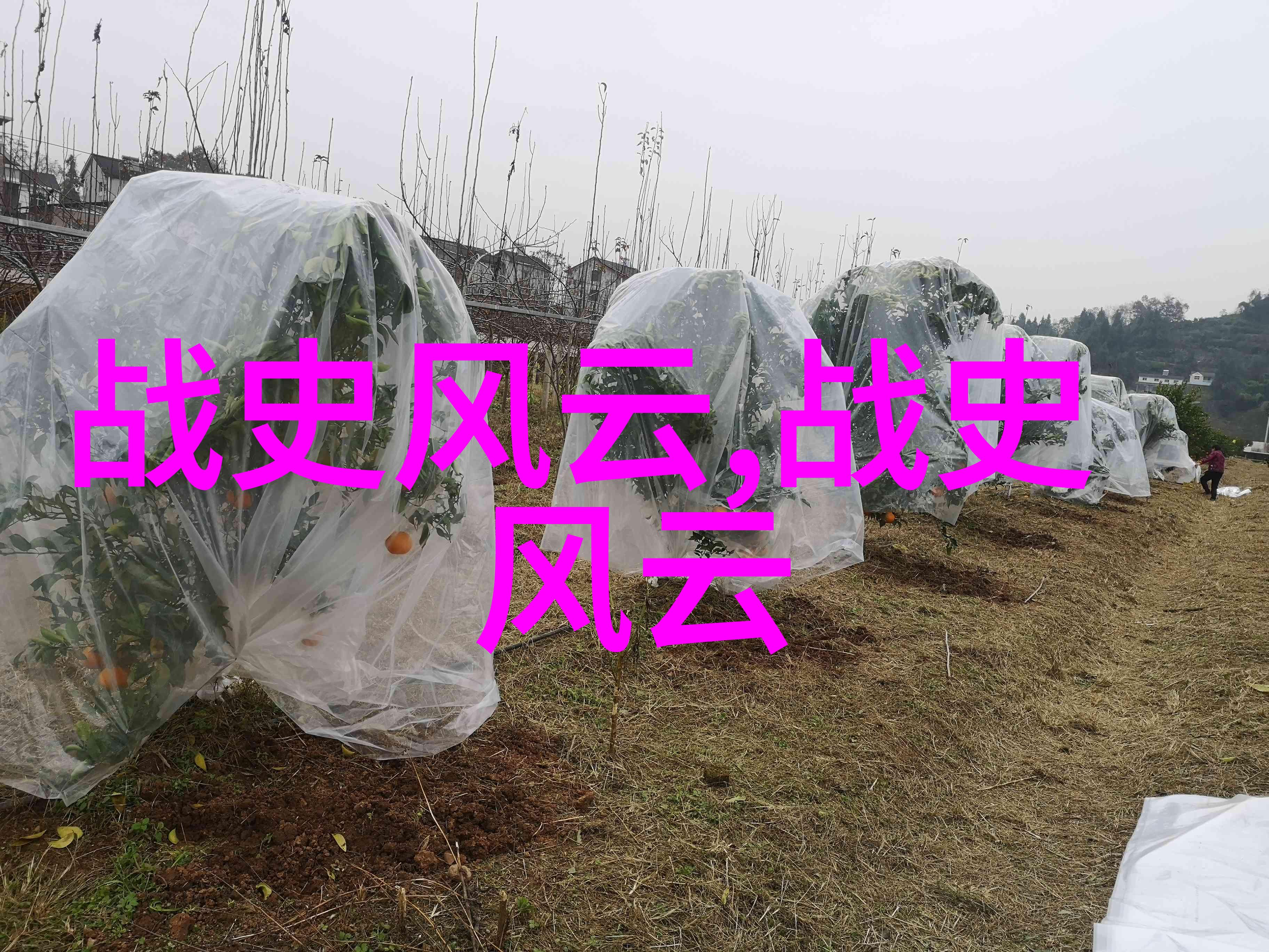 科学界惊现神秘现象月球上的水迹引人注目