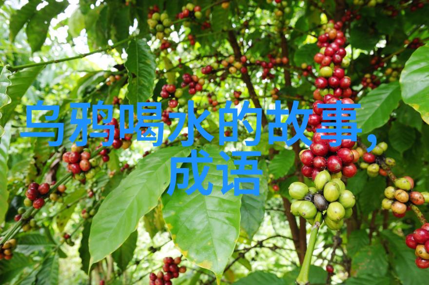 从皇帝到街头艺人一位历史上的反差巨星