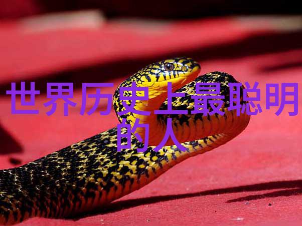 张竹君是军事报道中的重要人物吗