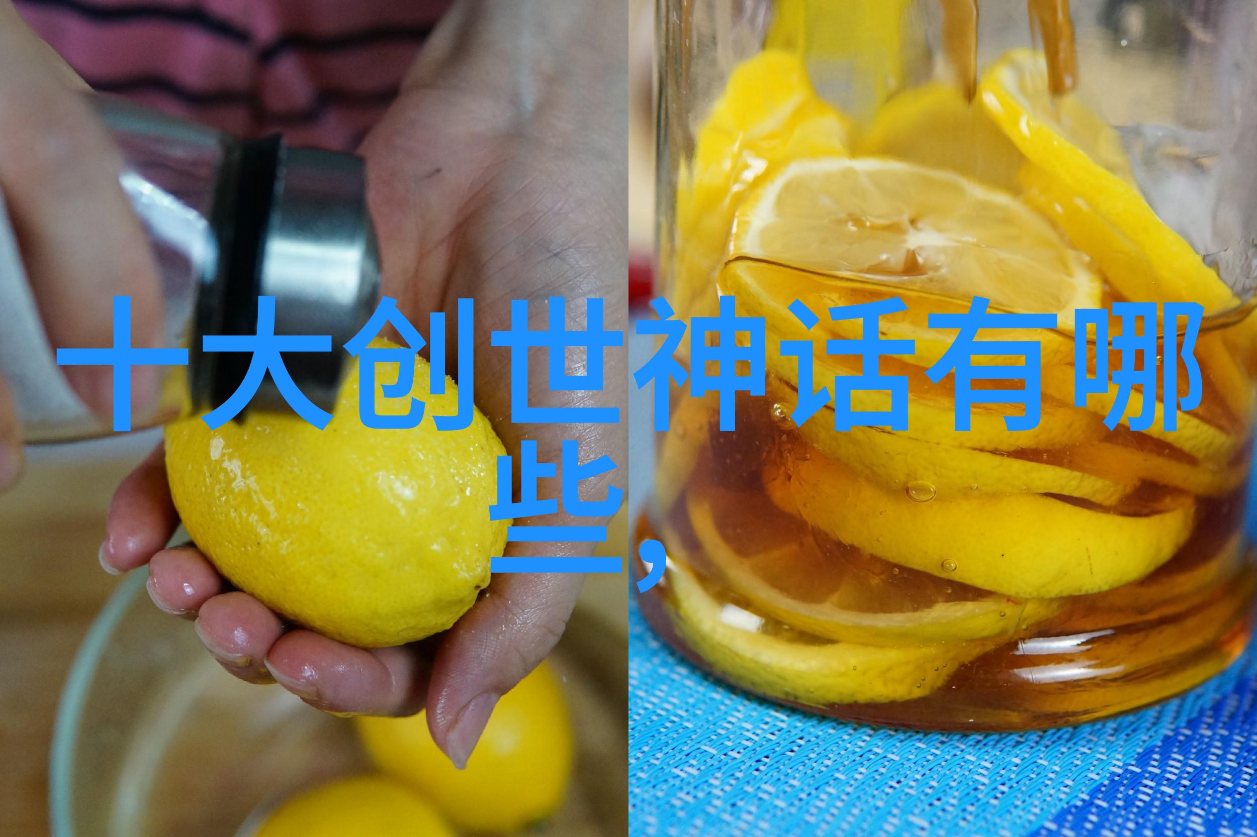 智慧的小鸟和愚蠢的狐狸