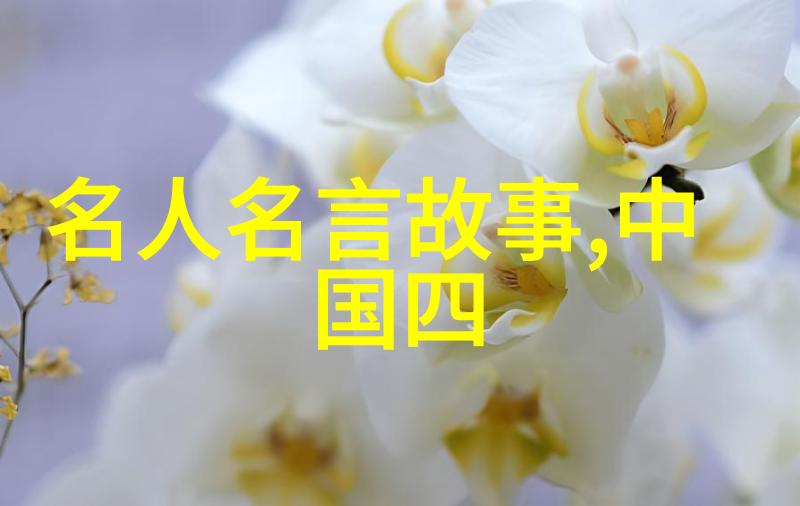 二年级小书童的红色故事朗诵会传承革命精神的美好时刻