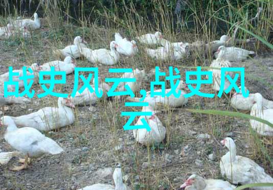 大洪水记忆神话中的人类灾难与救赎