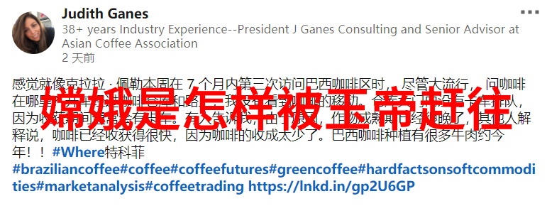 古语故事集时光的纹理