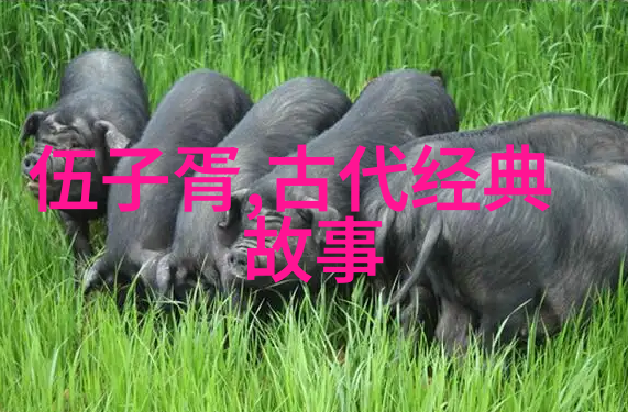 开车晚上看有痛痛的声音视频免费我的夜间驾驶小贴士