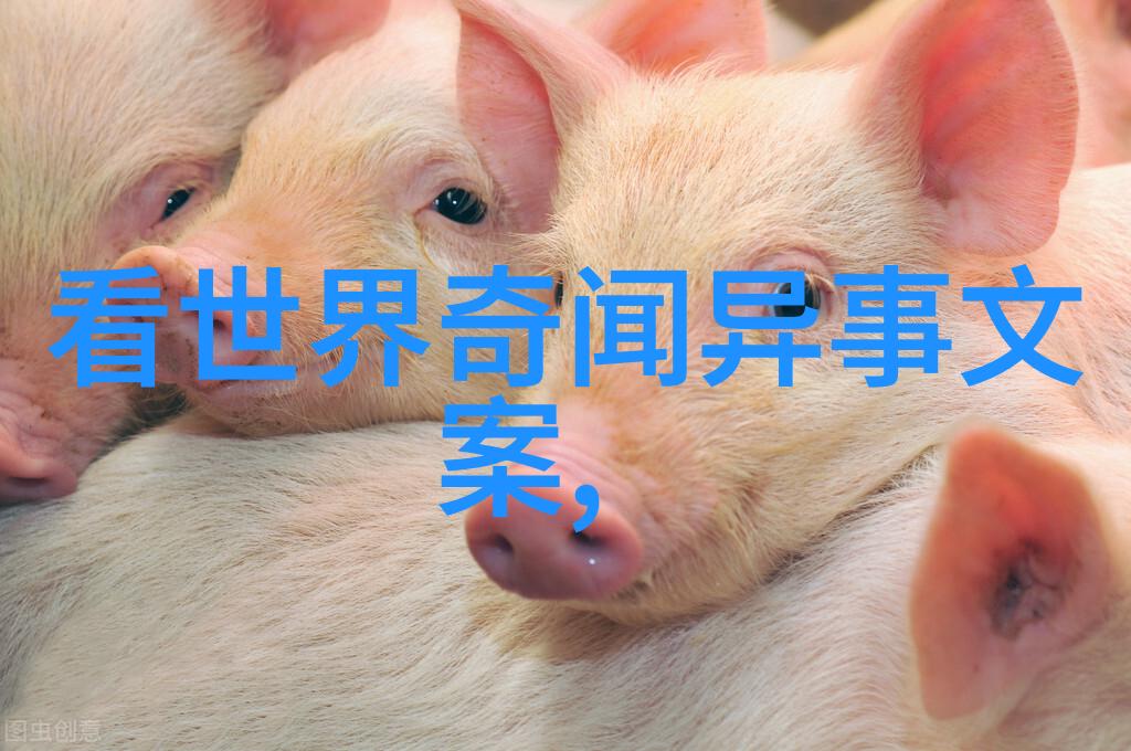 中国现代名人故事大全激励时代的足迹与梦想
