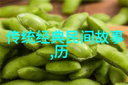 抗日英雄传说十位不屈战士的英勇故事