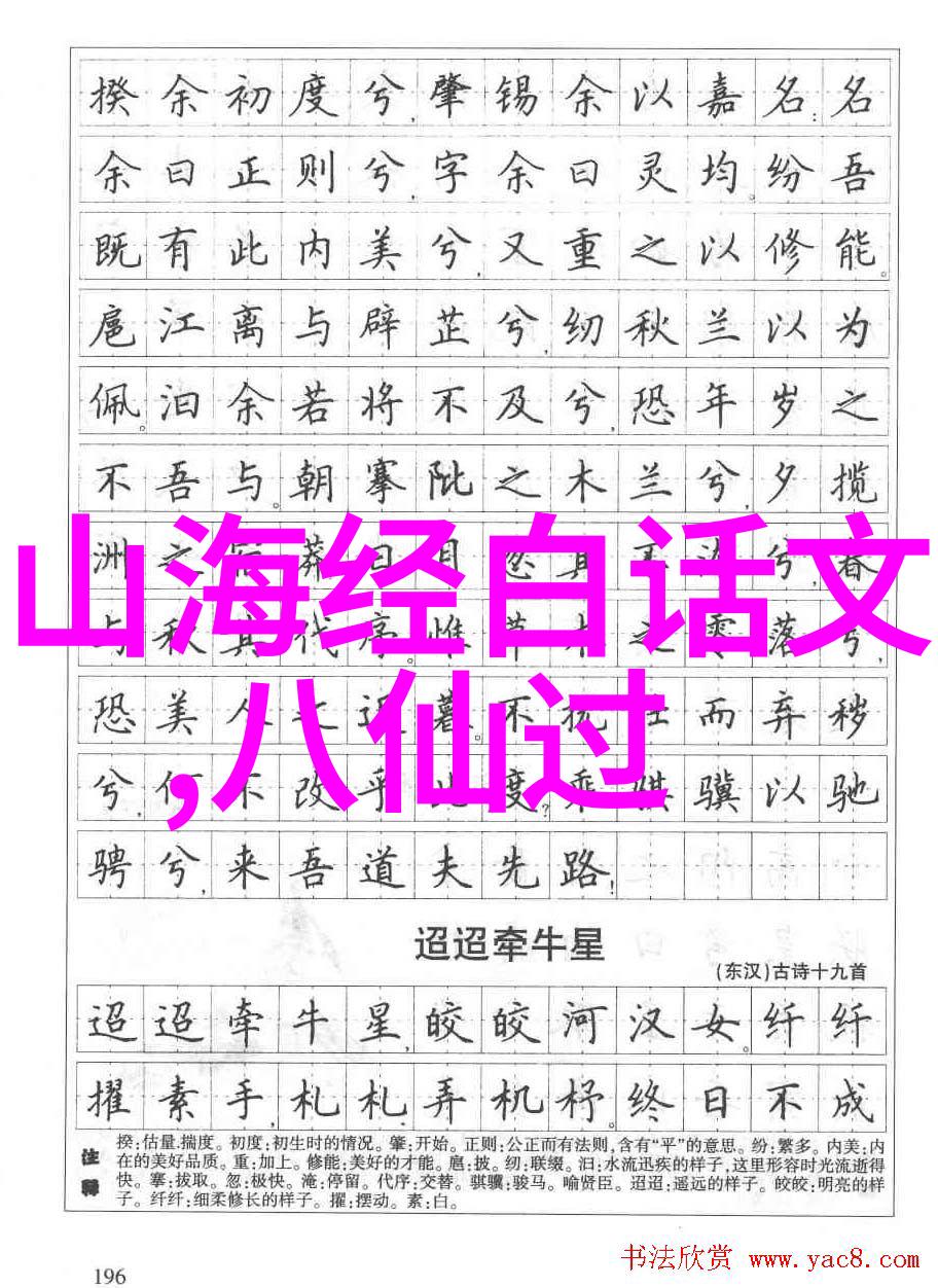 星光下的孤岛奇遇