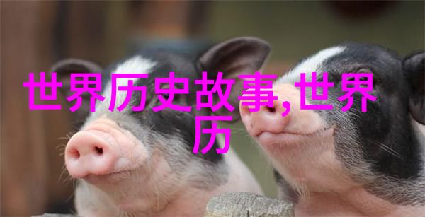 时间旅行者的笔记本记录孩子们对历史的理解与感悟