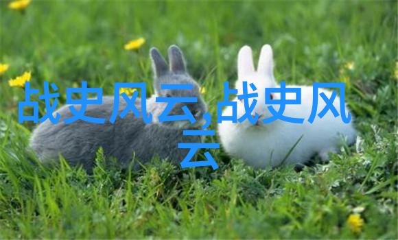 慈禧的影子下中国武术为何无法与跆拳道抗衡这个问题反复困扰着我
