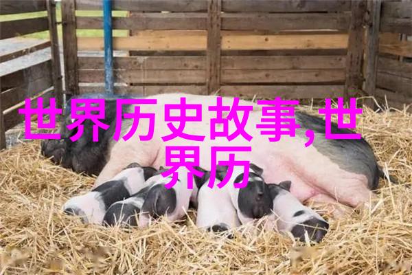 慕容晓晓的黄梅戏之谜