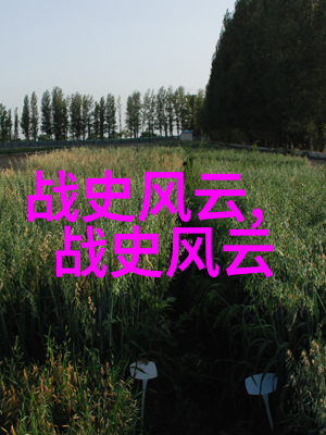 全真龙门派二十四代传人史为民与汉八旗共商大计灵符秘笈藏于古籍之中