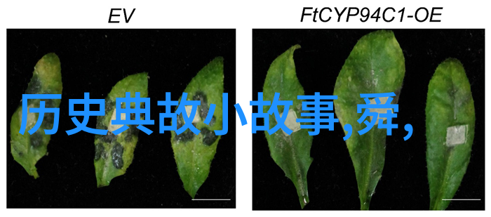 魔法水晶守护童年的守护者