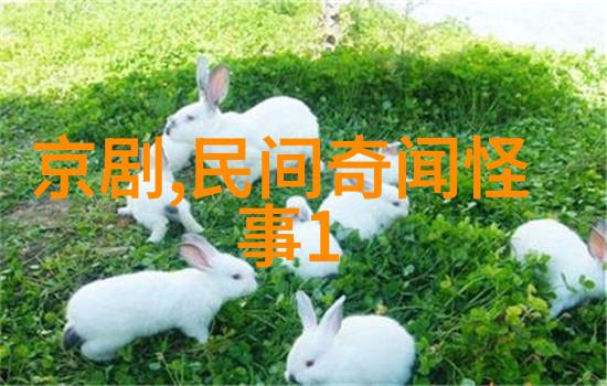 第四届黄梅戏艺术节群众共享天仙配的情感