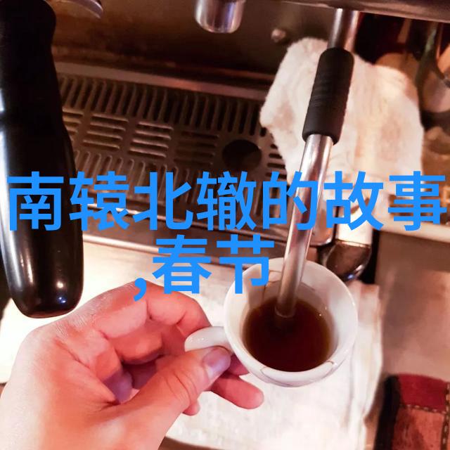 传统教育中被遗忘的课本外部的智慧宝藏