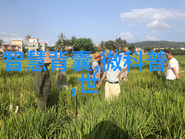 西汉大臣跪趴吃饭趣事司马迁与玉杯的故事