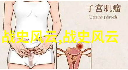 1368年土木堡之役蒙古帝国的衰落与明朝的崛起