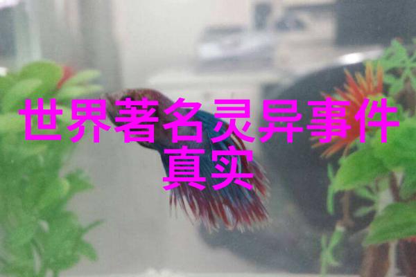 卓越科研学者No.18邵俊计算机学院的引领者与智慧之光探索未来编织奇迹