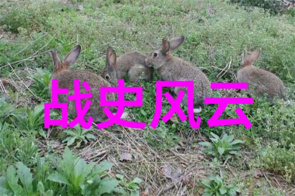 云游八仙海上一梦