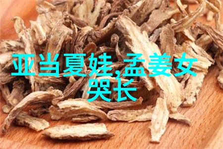 历史长河中的璀璨星辰曹操的起起落落