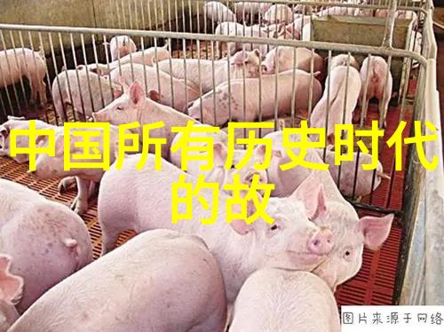 梦断紫禁城