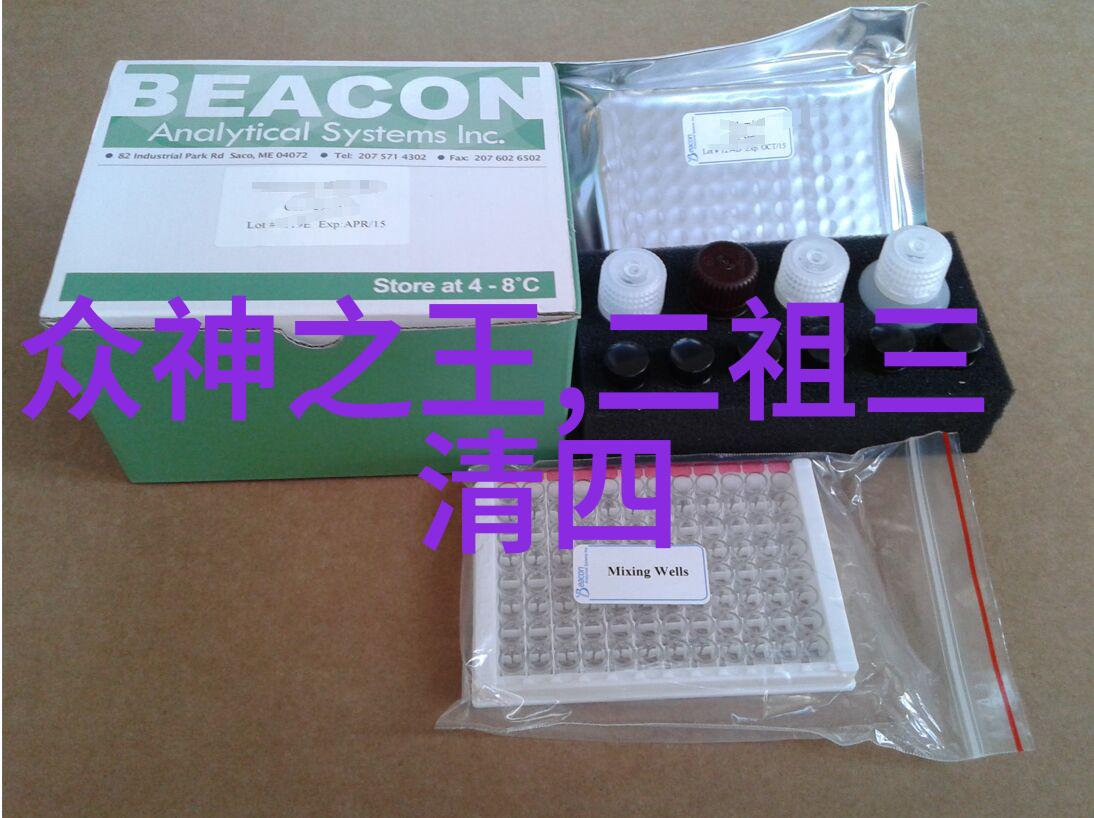 写历史人物的故事四年级-时光里的英雄四年级学生手中的历史笔