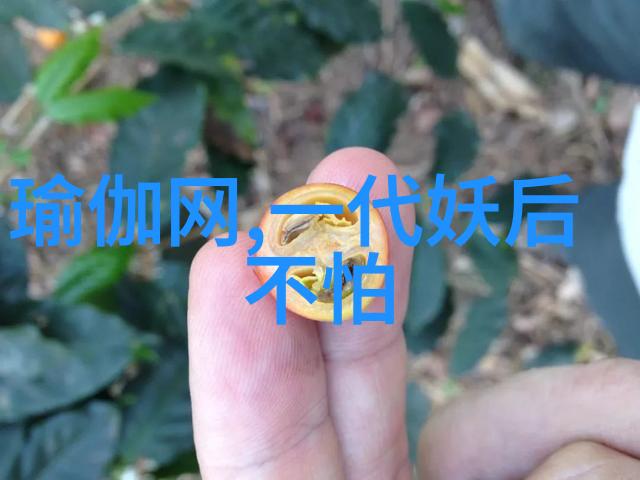 美人殇txt新浪-电子界的悲剧追忆那些在网络世界里消逝的美丽