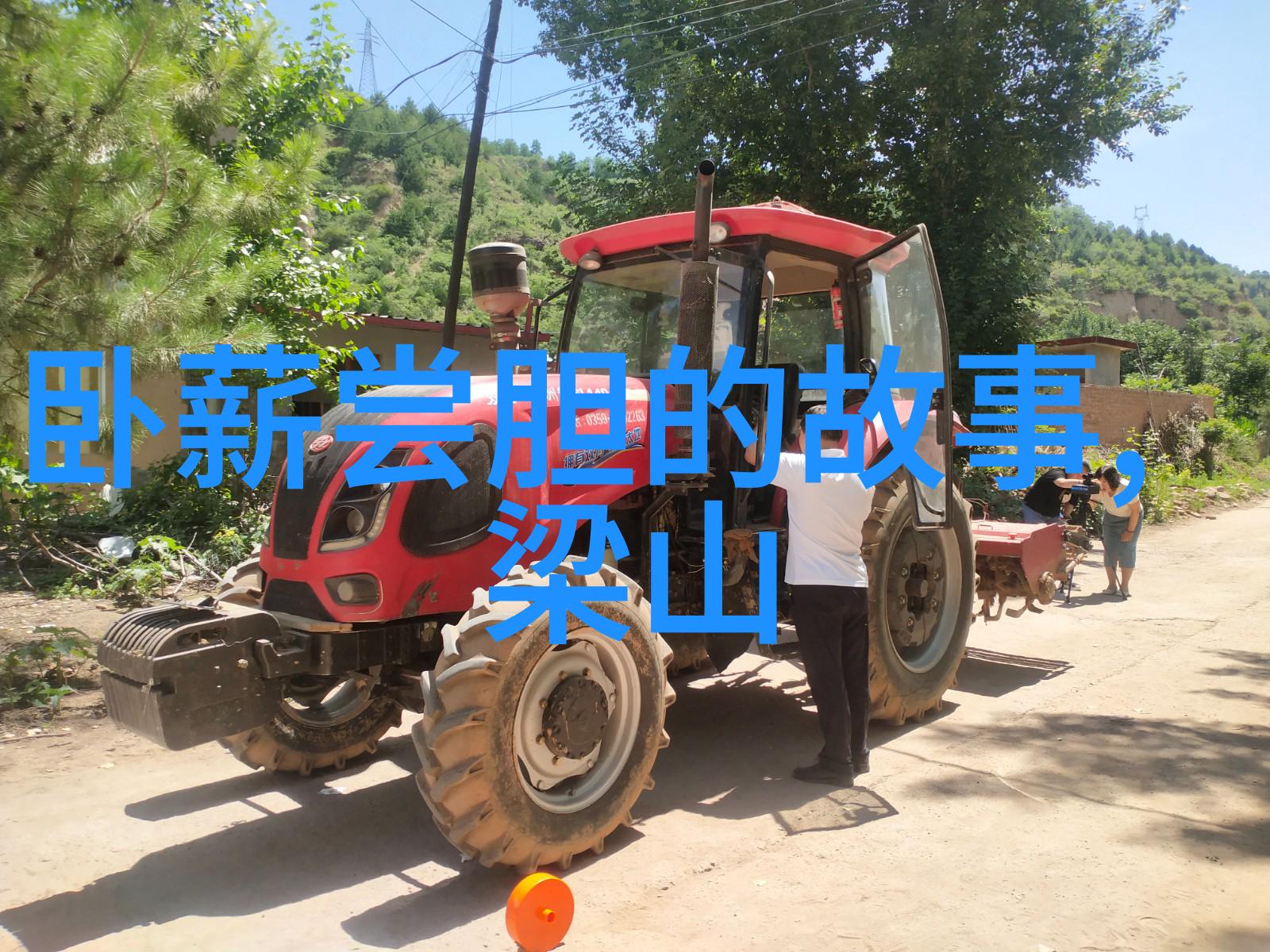 故宫的秘密花园探索帝王之巅隐藏的迷人绿洲