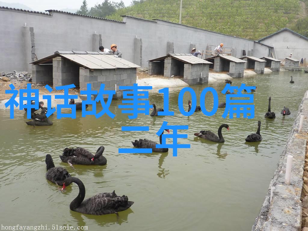 百足使者的故事螃蟹背后的智慧