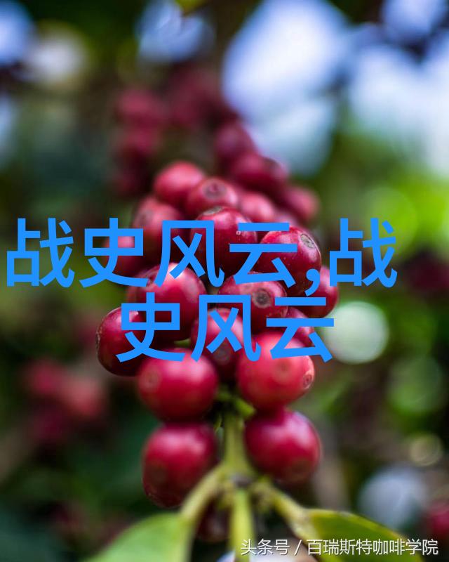 2023年新闻趣事探究解读新时代信息化进程中的异闻录
