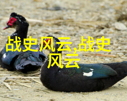 野史记揭秘隐世风云与古今传说
