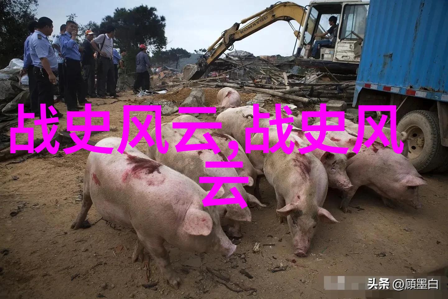 熊廷弼明末辽东巡抚犹如朱元璋时代的钢铁长城守护者