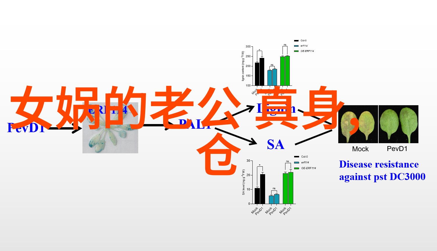 我们为什么总是对一些荒谬且不合理的情况感到好奇和乐在其中比如那些发生在2022年的稀奇事