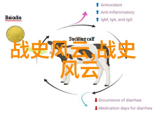 那個永遠年輕的炮手紀念黃繼光烈士七十周年誕辰