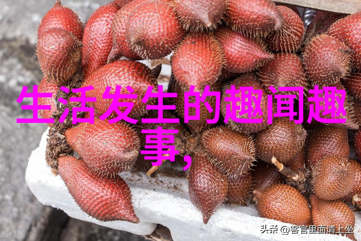 天界之弓流星的使者