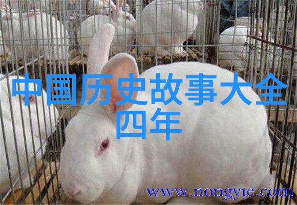 中国古代神话故事四年级传说中的龙凤与天地的创造