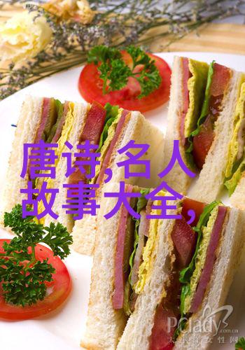 赵忠祥我是宣传不是炒作
