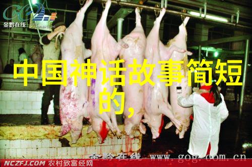 男生越往里越有劲探索内在力量的视频艺术