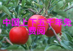 清朝穿越记这位皇帝17天内连续下达132道圣旨甚至让他亲生父亲都感到头疼不已